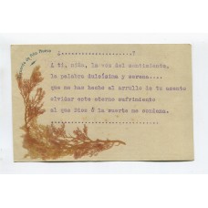 ANTARTIDA ARGENTINA 1902 TARJETA POSTAL ISLA DE AÑO NUEVO TIERRA DEL FUEGO CONFECCIONADA CON ALGAS, HUBO ALLI VARIAS EXPEDICIONES CIENTIFICAS FECHA TENTATIVA